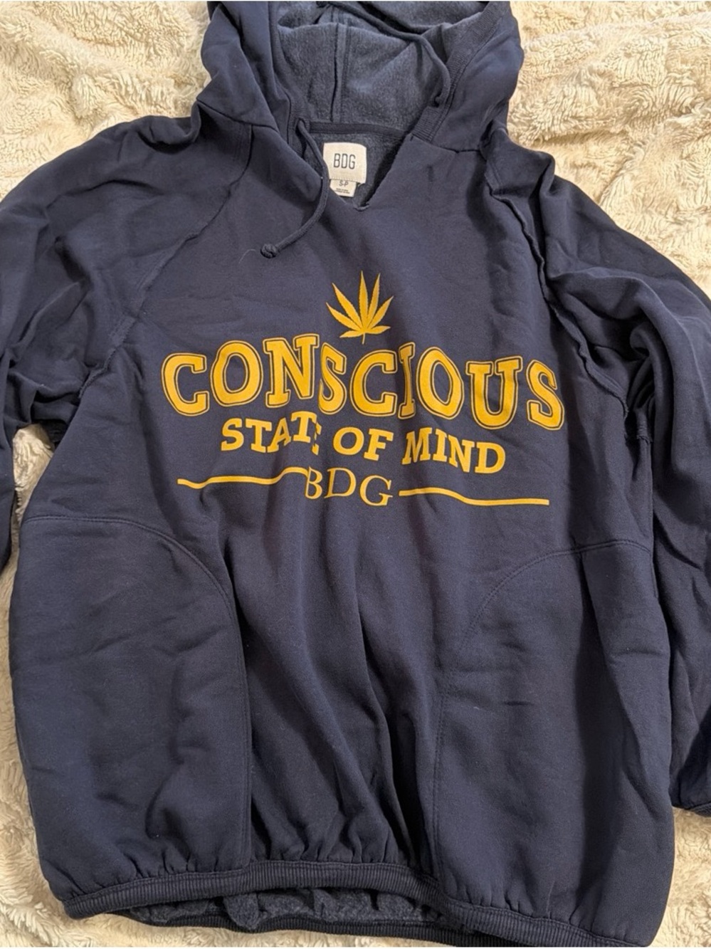 BDG/Urban Outfitters hoodie